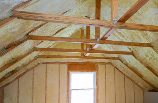 Best Spray Foam Insulation in Annetta, TX