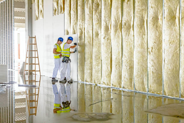 Best Energy Efficiency Insulation in Annetta, TX
